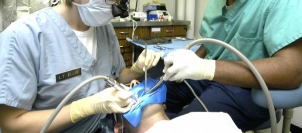 Nova técnica permite regeneração dentária Nova técnica permite regeneração dentária