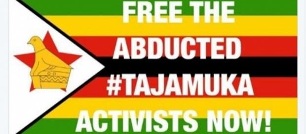 Zimbabwe activists / image screencap via ThisFlag Twitter Zimbabwe activists / image screencap via ThisFlag Twitter