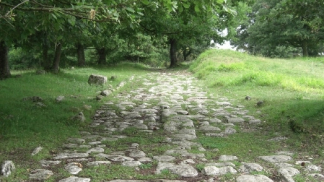 81_1420483601_3.jpg - notonlytrips.com