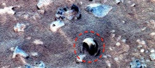 Presunta conchilia individuata su Marte.