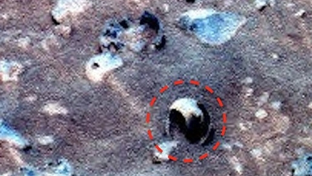 Presunta conchilia individuata su Marte.