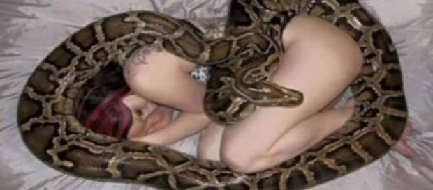 Și-a ales ca animal de companie un piton Și-a ales ca animal de companie un piton