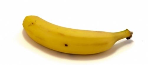 Le banane, entro dieci anni, rischiano l'estinzione a causa di un fungo patogeno