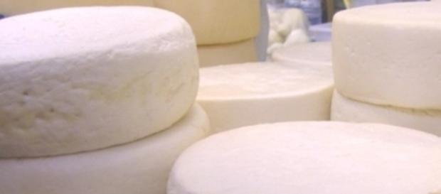 Queijo minas Frescal pronto para consumo Queijo minas Frescal pronto para consumo