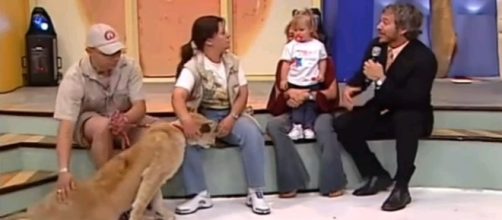 León ataca a niña en un programa de televisión en vivo. (Foto: Captura de YouTube)