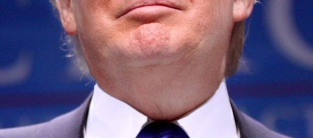 Donald J. Trump (Wikimedia Commons) Donald J. Trump (Wikimedia Commons)
