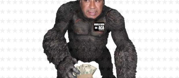 Lo de hoy son los gorilas, en zoológicos y en Acapulco. Lo de hoy son los gorilas, en zoológicos y en Acapulco.