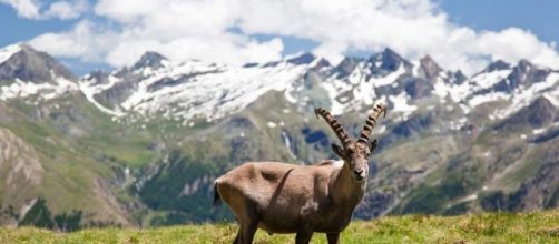 L'Italia in verde - Natura e paesaggio - Idee di viaggio - italia.it