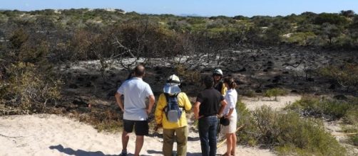 Razzo lanciato da uno yacht incendia vecchie polemiche