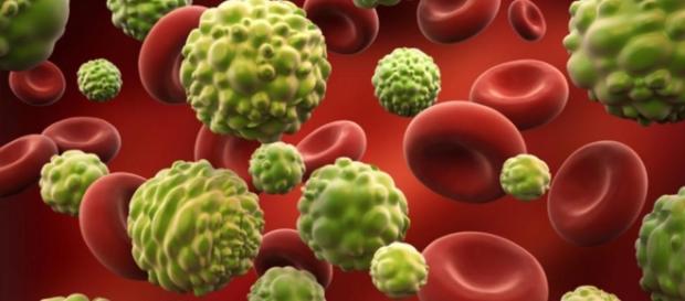 7 mitos sobre el cáncer | TN.com.ar - com.ar 7 mitos sobre el cáncer | TN.com.ar - com.ar