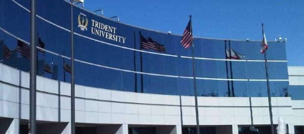 Universities that offer affordable Bachelor’s programs - Source: studyco.com/article/8062-Trident_University_International Universities that offer affordable Bachelor’s programs - Source: studyco.com/article/8062-Trident_University_International