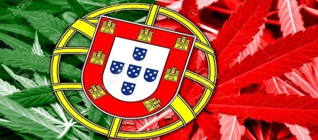 Il Portogallo raccoglie i frutti della legalizzazione. Il Portogallo raccoglie i frutti della legalizzazione.