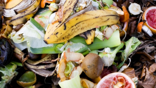 Sprechi alimentari: Senato approva legge