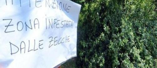Un cartello che mette in guardia sulla massiccia presenza di zecche - Foto da Il Gazzettino