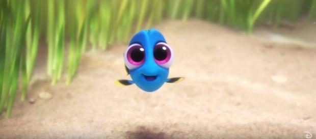 Bienvenue dans l'univers de la plus bleue des bêtes à mémoire de poisson rouge. Bienvenue dans l'univers de la plus bleue des bêtes à mémoire de poisson rouge.