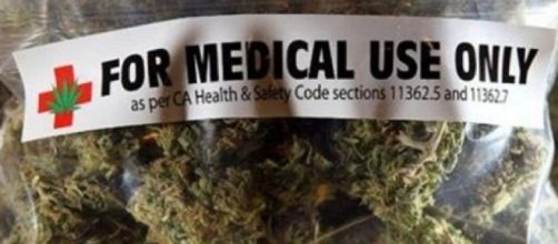 Battaglia sulla cannabis alla Camera, 1700 emendamenti - stadio24.com