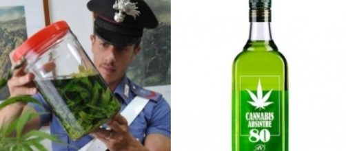Il liquore alla canapa conquista la Campania, l'unico problema è che è assolutamente illegale