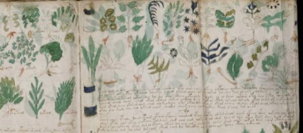 Livro mais misterioso do mundo será reproduzido fielmente Livro mais misterioso do mundo será reproduzido fielmente