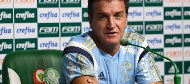 Treinador do Palmeiras em coletiva Treinador do Palmeiras em coletiva