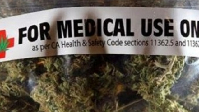 Battaglia sulla cannabis alla Camera, 1700 emendamenti - stadio24.com