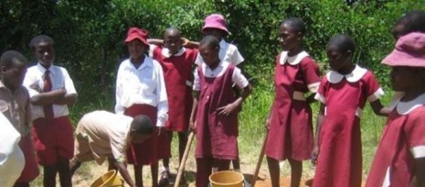 School children in Zimbabwe digging a shallow pit for an Arborloo toilet - a variation of a pit latrine/ Photo Creative commons Wikipedia.com School children in Zimbabwe digging a shallow pit for an Arborloo toilet - a variation of a pit latrine/ Photo Creative commons Wikipedia.com