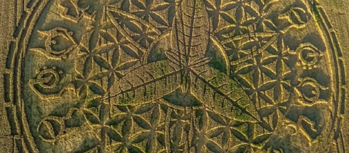 Un nouveau crop circle Angleterre Aout 2016 - copiright Gyro