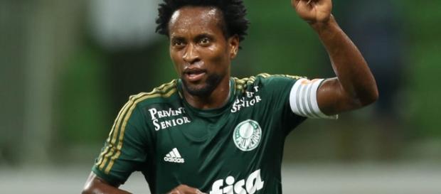 Zé Roberto, lateral do Palmeiras Zé Roberto, lateral do Palmeiras