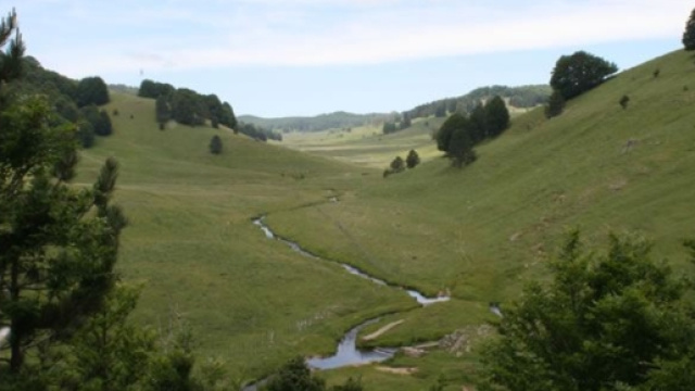 Parco Nazionale della sila, località Tirivolo