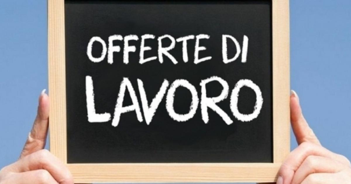 Offerte di lavoro per laureati in economia la lista con termini di scadenza 16 settembre Offerte di lavoro per laureati in economia la lista con termini di scadenza 16 settembre