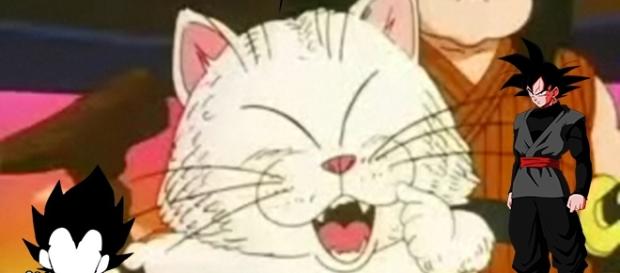 Dragon Ball SUper: ¿Cómo murió el maestro Karin? Dragon Ball SUper: ¿Cómo murió el maestro Karin?