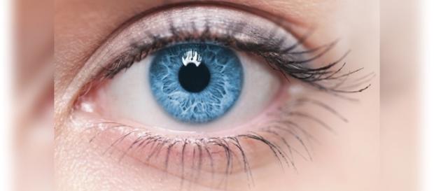 Quem tem olhos castanhos, podem optar por tê-los na cor azul Quem tem olhos castanhos, podem optar por tê-los na cor azul