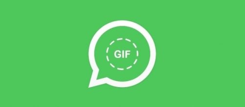 WhatsApp: in arrivo il supporto alle GIF