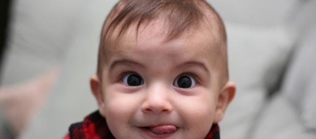 Young infant (Wikipedia Commons) Young infant (Wikipedia Commons)