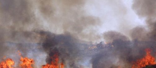 Incendi boschivi: La Forestale denuncia una persona nel Cilento - cilentonotizie.it