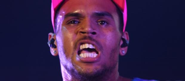 Chris Brown's Detailed Plan To Educate Australians On Domestic ... - funnyordie.com Chris Brown's Detailed Plan To Educate Australians On Domestic ... - funnyordie.com