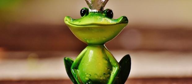 Macron: la grenouille qui annonce le beau temps ? Macron: la grenouille qui annonce le beau temps ?