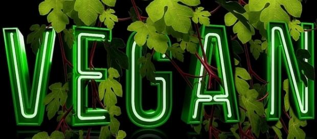 Plataforma realiza censo de veganos, vegetarianos e simpatizantes Plataforma realiza censo de veganos, vegetarianos e simpatizantes