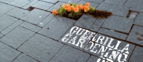Guerrilla gardening, la battaglia per città più verdi parte da ... - quotidianopiemontese.it