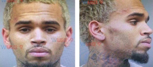 Chris Brown Looks Rough In His Mug Shot: See It Now - MTV - mtv.com Chris Brown Looks Rough In His Mug Shot: See It Now - MTV - mtv.com