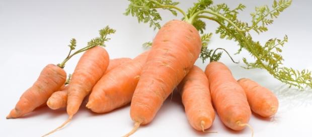 Descubre los 10 Beneficios más Interesantes de la Zanahoria | Mis ... - misremedios.com Descubre los 10 Beneficios más Interesantes de la Zanahoria | Mis ... - misremedios.com