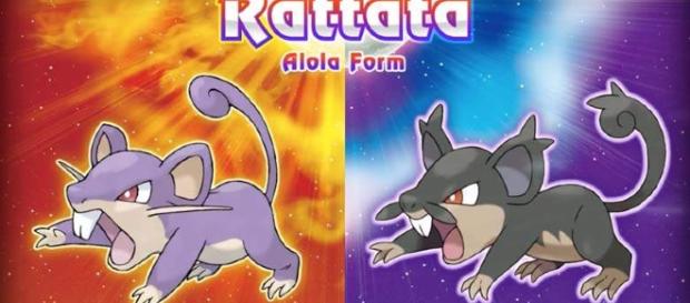 Nueva Alola Form de Rattata en Sun/Moon. Nueva Alola Form de Rattata en Sun/Moon.