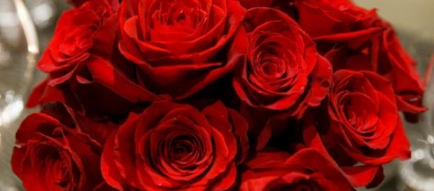 The Bachelorette' 2016 Spoilers: Reality Steve Says An Official ... - inquisitr.com The Bachelorette' 2016 Spoilers: Reality Steve Says An Official ... - inquisitr.com