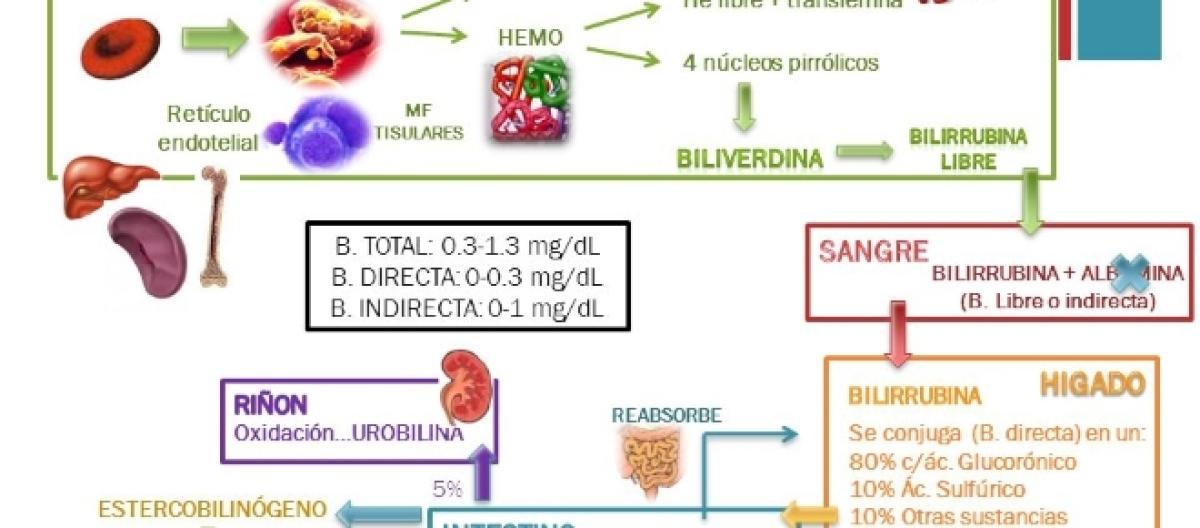 Bilirrubina la total es q