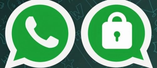 Is Your Information On WhatsApp Private And Secure? - Appknox - Blog - appknox.com