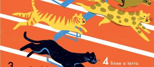 Le Olimpiadi degli animali: un'assurda gara di quadrupedi e ... - panorama.it