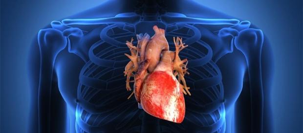Desarrollan medicamento contra la insuficiencia cardíaca | Globovisión - globovision.com Desarrollan medicamento contra la insuficiencia cardíaca | Globovisión - globovision.com