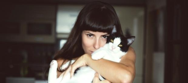 Amoureux des chats, journée internationale du chat Amoureux des chats, journée internationale du chat