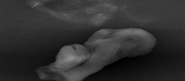 Semelhante a 'fumaça de charuto' microrganismo foi notado na estratosfera (Universidade de Sheffield) Semelhante a 'fumaça de charuto' microrganismo foi notado na estratosfera (Universidade de Sheffield)