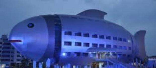 National Fisheries Development Board in Hyderabad, India (courtesy NFDB) Creative Commons National Fisheries Development Board in Hyderabad, India (courtesy NFDB) Creative Commons
