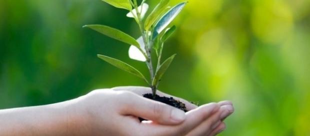 Otto modi per educare i bambini verso il rispetto per l'ambiente Otto modi per educare i bambini verso il rispetto per l'ambiente